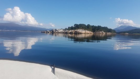 20220904_111318.jpg 20220904_111318.jpg