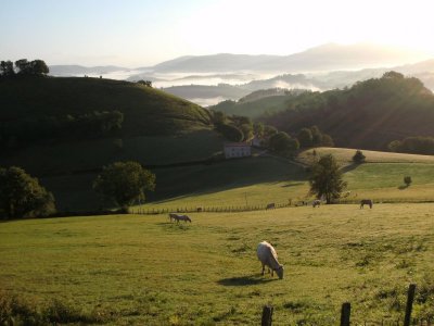 BILD0042.JPG BILD0042.JPG