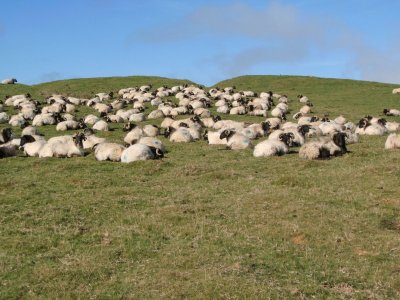 BILD0053.JPG BILD0053.JPG