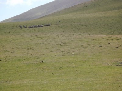 BILD0057.JPG BILD0057.JPG