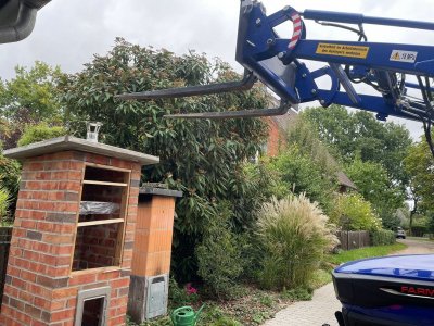 IMG-20220919-WA0008.jpg IMG-20220919-WA0008.jpg