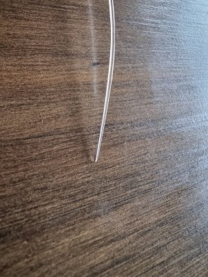 20220918_153142.jpg 20220918_153142.jpg