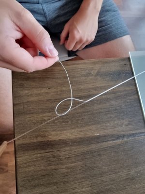 20220918_160350.jpg 20220918_160350.jpg