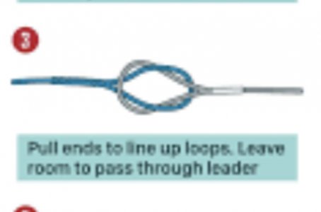 663C6E27-0F9F-4307-B78D-2E71AFB61E0B.jpeg 663C6E27-0F9F-4307-B78D-2E71AFB61E0B.jpeg