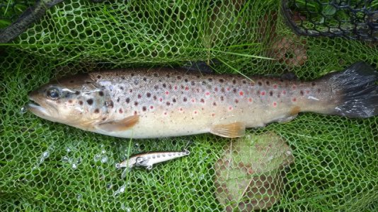 20220925_142912.jpg 20220925_142912.jpg