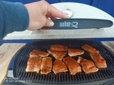 IMG_20220909_182700_646.jpg IMG_20220909_182700_646.jpg