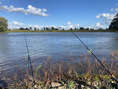 023A1316-94A9-4BEC-8110-3A1750A1F961.jpeg 023A1316-94A9-4BEC-8110-3A1750A1F961.jpeg