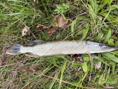 F848E183-6C3C-4126-8C55-D9BCB451F952.jpeg F848E183-6C3C-4126-8C55-D9BCB451F952.jpeg