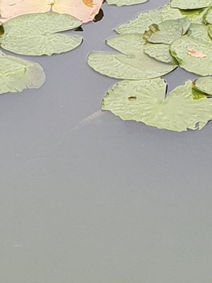 20221013_133303.jpg 20221013_133303.jpg