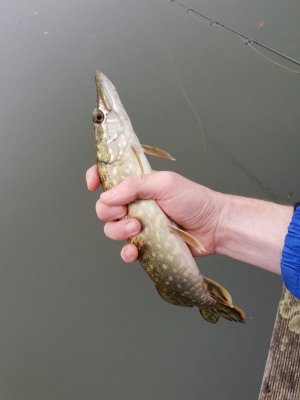 20221013_133708.jpg 20221013_133708.jpg