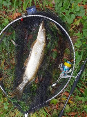 20221013_134925.jpg 20221013_134925.jpg