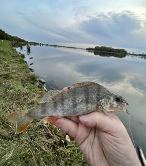 19306D29-22B2-4AEE-8201-097CF5A37553.jpeg 19306D29-22B2-4AEE-8201-097CF5A37553.jpeg