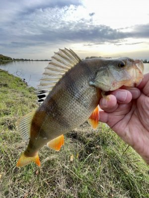 D5A630DA-9564-4415-9497-2780833E55D9.jpeg D5A630DA-9564-4415-9497-2780833E55D9.jpeg