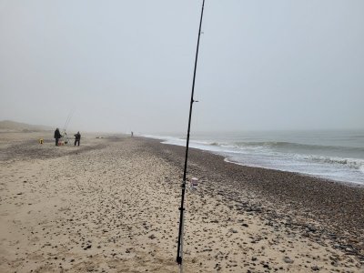 20221021_094404_2.jpg 20221021_094404_2.jpg