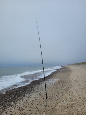 20221021_112932_2.jpg 20221021_112932_2.jpg