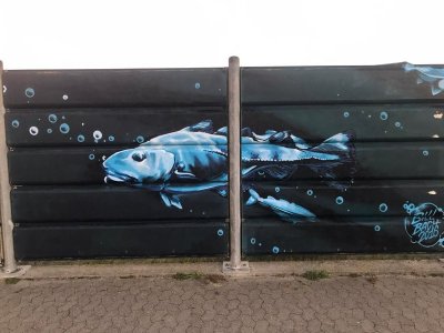 IMG-20221020-WA0002.jpg IMG-20221020-WA0002.jpg