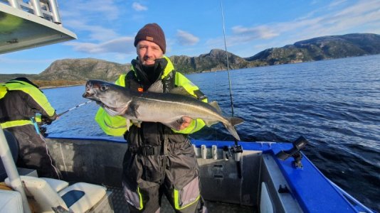 IMG-20220928-WA0024.jpg IMG-20220928-WA0024.jpg