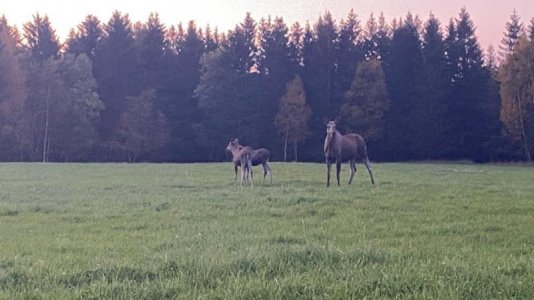 IMG-20220928-WA0011.jpg IMG-20220928-WA0011.jpg