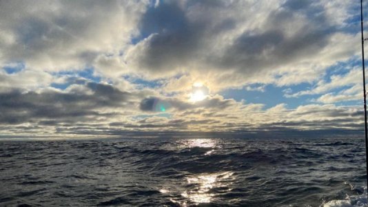 IMG-20220924-WA0010.jpg IMG-20220924-WA0010.jpg