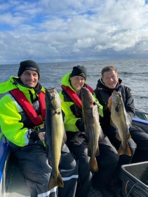 IMG-20220924-WA0004.jpg IMG-20220924-WA0004.jpg