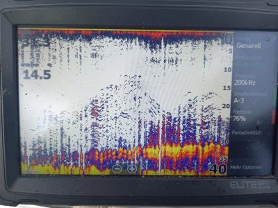 IMG-20220923-WA0015.jpg IMG-20220923-WA0015.jpg