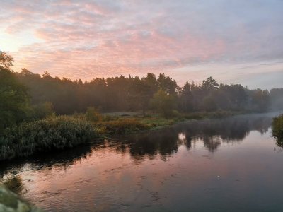 IMG-20221023-WA0001.jpg IMG-20221023-WA0001.jpg