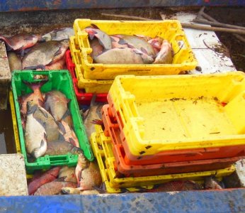 DSCN3925-2.JPG DSCN3925-2.JPG