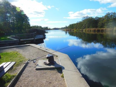 DSCN3885.JPG DSCN3885.JPG