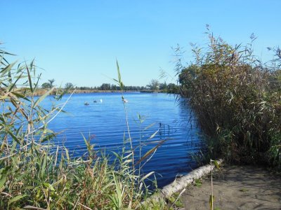 DSCN3898.JPG DSCN3898.JPG