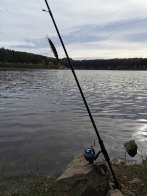 IMG_20221023_150851.jpg IMG_20221023_150851.jpg