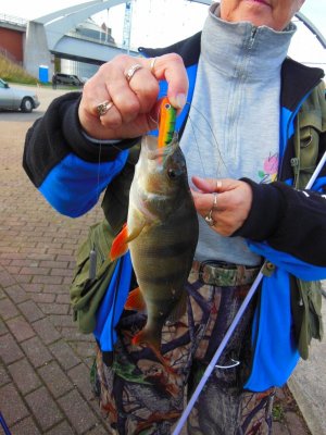 DSCN3951.JPG DSCN3951.JPG