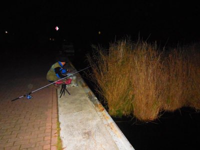 DSCN3969.JPG DSCN3969.JPG