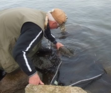 DSCN3993.JPG DSCN3993.JPG