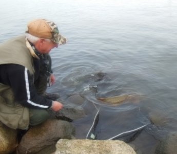 DSCN3995.JPG DSCN3995.JPG