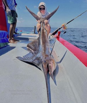 WhatsApp Image 2022-10-25 at 16.30.56.jpeg