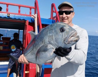 WhatsApp Image 2022-10-27 at 15.37.17.jpeg