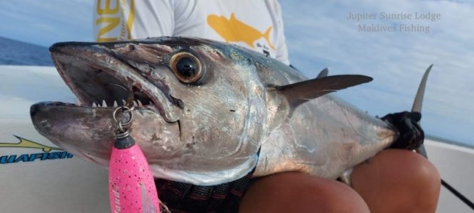 WhatsApp Image 2022-10-29 at 14.49.01 (1).jpeg