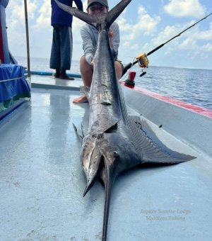 WhatsApp Image 2022-10-30 at 15.36.18 (1).jpeg