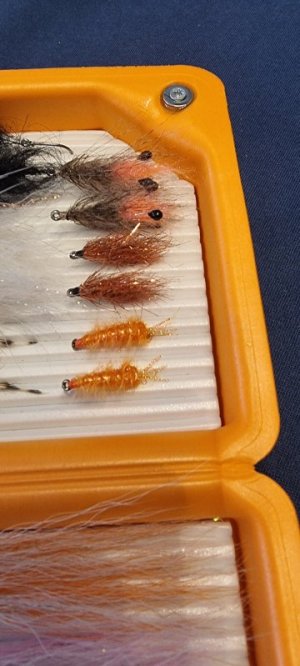 20221103_081914.jpg