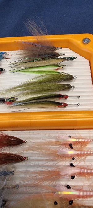 20221103_081922.jpg