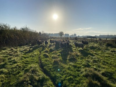 88459209-4F6E-4F7C-805A-6F29BA6FAC19.jpeg 88459209-4F6E-4F7C-805A-6F29BA6FAC19.jpeg