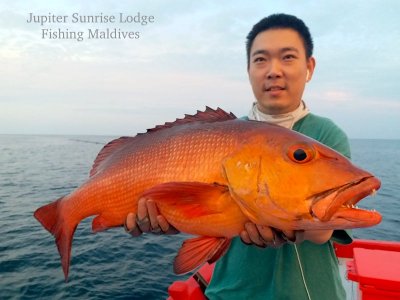 WhatsApp Image 2022-11-05 at 13.16.04.jpeg