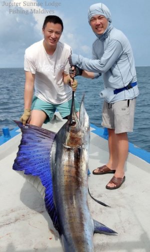 WhatsApp Image 2022-11-07 at 18.42.56.jpeg