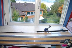 DSC_0445.jpg DSC_0445.jpg