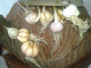 2015-08-18 16.33.01.jpg