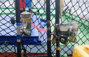 20150922_083921.jpg 20150922_083921.jpg