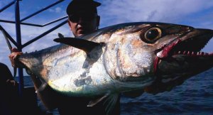 20150923_144737.jpg 20150923_144737.jpg