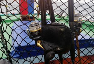 20150922_084012.jpg 20150922_084012.jpg