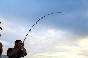 IMG_3107.jpg IMG_3107.jpg