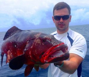 IMG-20150926-WA0010.jpg IMG-20150926-WA0010.jpg